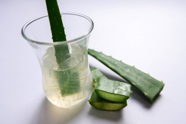 Aloe vera Gel that has both substances to cure scars And used to produce health drinks Or cosmetics that are good for the skin clipart