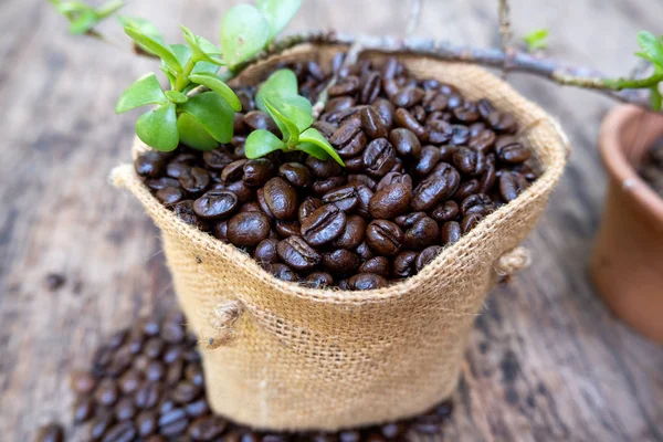 Повний кавових зерен, що виливаються мішок на коричневому дерев'яному фоні — стокове фото