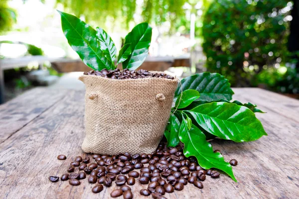 Lleno de granos de café derramando el bolso sobre fondo de madera marrón — Foto de Stock