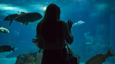 Genç kadın balık ve su altında Okyanusya içinde cam üzerinden hayat bakıyor