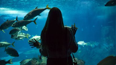 Lizbon 'da Oceanarium cam üzerinden su altında balık ve hayat bakarak bir kadın