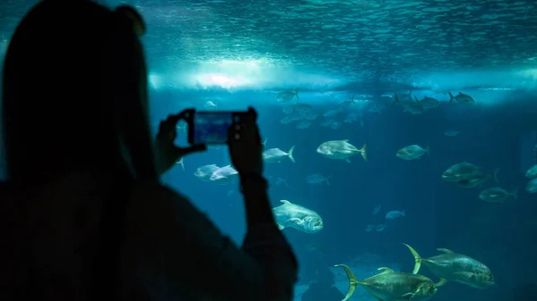 海洋水族館のガラスを通して電話で水中の魚の写真を作る女性 — ストック写真
