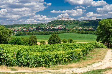 Pannonhalma Archabbey with vine grapes in the wine region vineyard, Hungary clipart