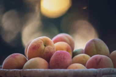 Doğal bokeh günbatımı arka plan ile sepet üzerinde Olgun kayısı