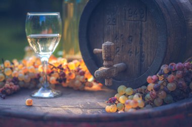 Hasat sezonunda beyaz üzüm ve bir kadeh şarap ile şarap varil, Macaristan