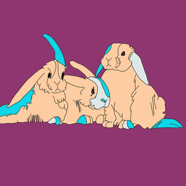 picture with bunnies wallpaper rabbit