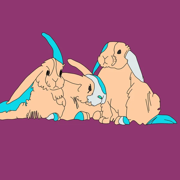 Bunny wallpaper Images - Search Images on Everypixel Bunny wallpaper Images - Search Images on Everypixel