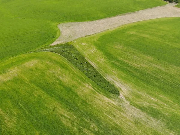 Math graph at the green field