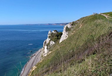 Branscombe bira üzerinde Hooken alt uçurumun görünümü Devon, Ingiltere yürümek
