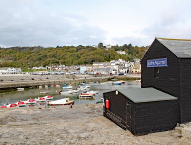 Lyme Regis 'teki liman manzarası Cobb 'un sonundan görülebilir. Marine Aquarium ön planda