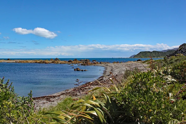 Chropowaty wybrzeża w Moa Point w pobliżu lotniska Wellington — Zdjęcie stockowe