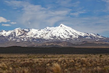 Tongariro Milli Parkı 'ndaki Ngauruhoe Dağı 'nın panoramik manzarası. Yüzüklerin Efendisi filmlerinde Doom Mount olarak özellikli