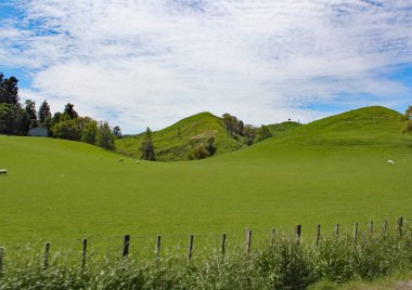 Yeni Zelanda 'nın Waikato bölgesinin yuvarlanma kırsal alanı