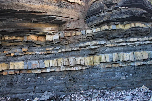 Praia East Quantoxhead em Somerset. Os pavimentos de calcário datam da era Jurássica e são um paraíso para os caçadores de fósseis. Amonitas e restos de répteis podem ser encontrados . — Fotografia de Stock