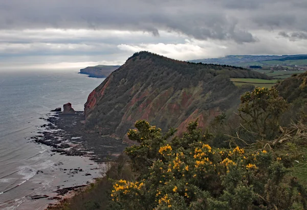 Haut sommet près de Sidmouth dans le Devon par une journée orageuse.Partie du sentier côtier du Sud-Ouest — Photo