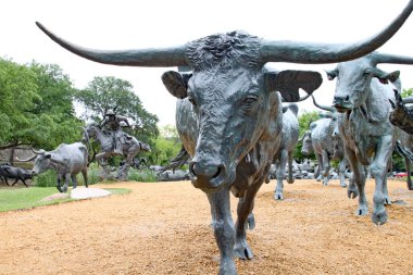 Dwight, TEXAS - 13 Mayıs 2014: Kuzey Amerika 'daki en büyük bronz heykel düzenlemesi. Grupta at sırtında üç kovboy ve her parçanın% 130 'u gerçek boyutunda 40 + Longhorn sığırı bulunuyor..