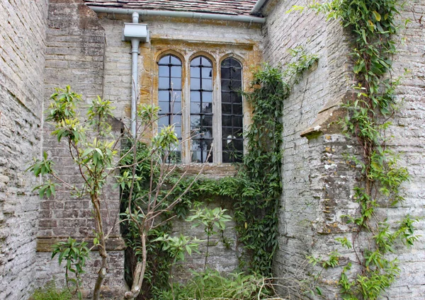 Los Árboles Hiedra Crecen Frente Una Vieja Ventana Con Plomo — Foto de Stock