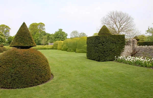 Anglická Venkovská Zahrada Zaoblenými Topiárními Keři Kuželovitým Vrchem — Stock fotografie