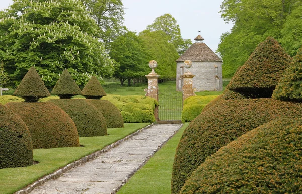 Een Engelse Plattelandstuin Met Ronde Topiary Struiken Met Een Kegelvormige — Stockfoto