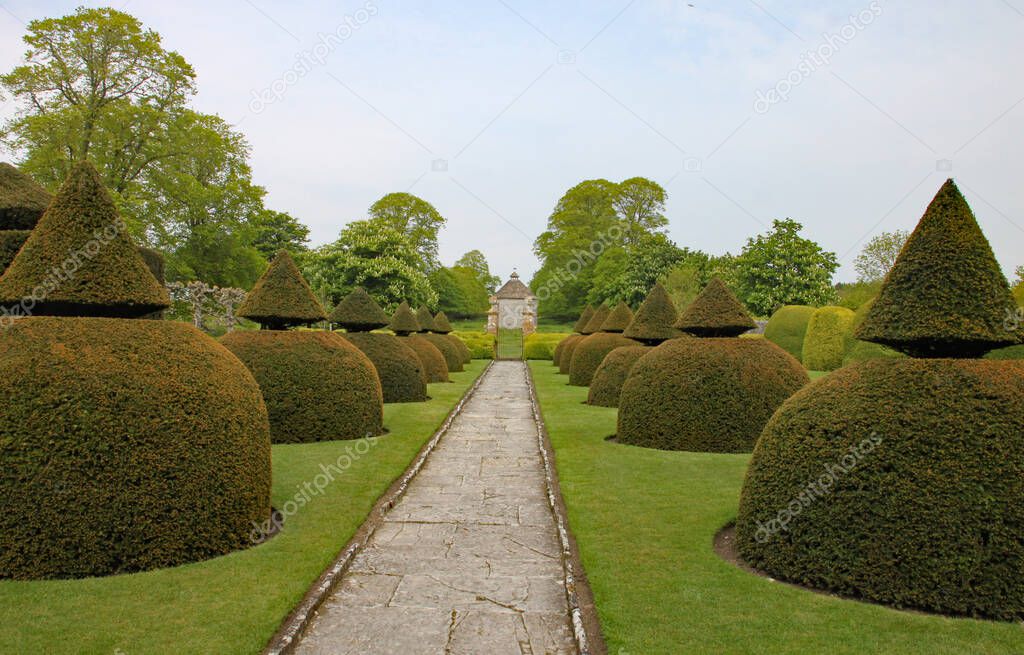 An English country garden with rounded topiary bushes with a conical top
