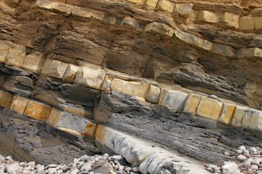 İngiltere, Somerset 'te, Doğu Quantoxhead yakınlarında Kilve plajı. Dev kaya tabakaları Jurasik döneme kadar uzanır ve fosil avcıları için bir cennettir.