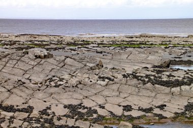 İngiltere, Somerset 'te, Doğu Quantoxhead yakınlarında Kilve plajı. Jurasik döneme dayanan kaya tabakaları plato boyunca uzanan büyük çatlak platolar oluşturur. Bu bölge fosil avcıları için bir cennet.