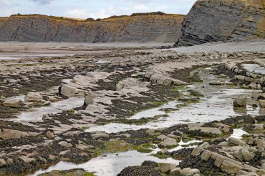İngiltere, Somerset 'te, Doğu Quantoxhead yakınlarındaki Kilve sahilindeki kayalar. Kaya katmanları Jurasik döneme dayanır ve fosil avcıları için bir cennettir..