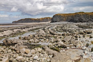 İngiltere, Somerset 'te, Doğu Quantoxhead yakınlarında Kilve plajı. Jurasik döneme dayanan kaya tabakası plaj boyunca kaldırımları çatlattı. Bu bölge fosil avcıları için bir cennet.