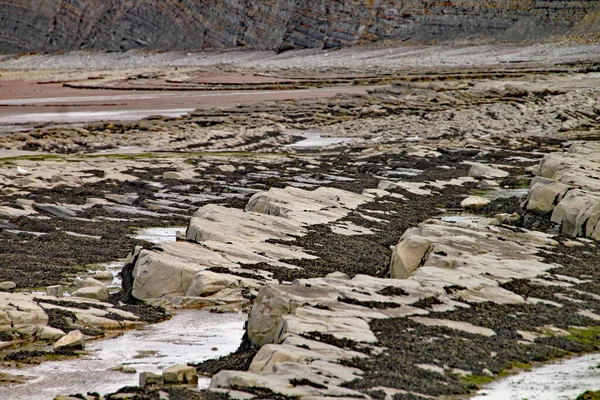 Ngiltere Somerset Doğu Quantoxhead Yakınlarındaki Kilve Sahilindeki Kayalar Kaya Katmanları — Stok fotoğraf