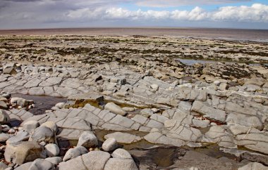 İngiltere, Somerset 'te, Doğu Quantoxhead yakınlarında Kilve plajı. Jurasik döneme dayanan kaya tabakaları plato boyunca uzanan büyük çatlak platolar oluşturur. Bu bölge fosil avcıları için bir cennet.