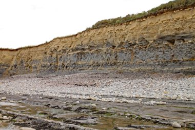 İngiltere, Somerset 'teki Doğu Quantoxhead yakınlarındaki Kilve sahilindeki kayalıklar. Kaya katmanları Jurasik döneme dayanır ve fosil avcıları için bir cennettir..