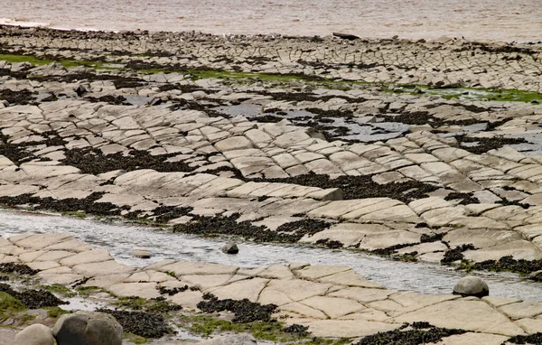 Ngiltere Somerset Doğu Quantoxhead Yakınlarında Kilve Plajı Jurasik Döneme Dayanan — Stok fotoğraf