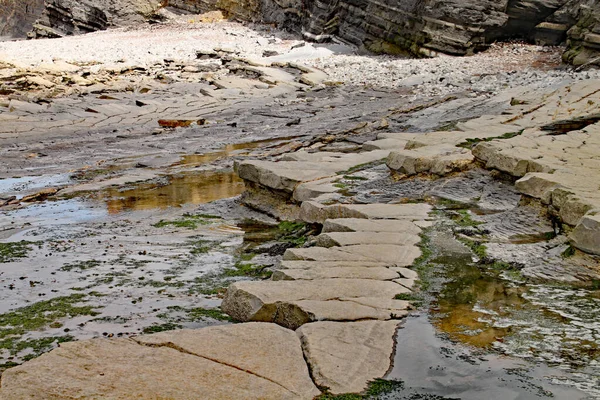 Ngiltere Somerset Doğu Quantoxhead Yakınlarındaki Kilve Sahilindeki Kayalar Kaya Katmanları — Stok fotoğraf