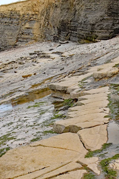 Ngiltere Somerset Doğu Quantoxhead Yakınlarındaki Kilve Sahilindeki Kayalar Kaya Katmanları — Stok fotoğraf