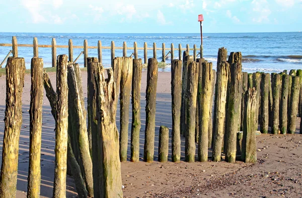 Stare Drewniane Kłody Używane Jako Groynes Dawlish Warren Spływają Morza — Zdjęcie stockowe