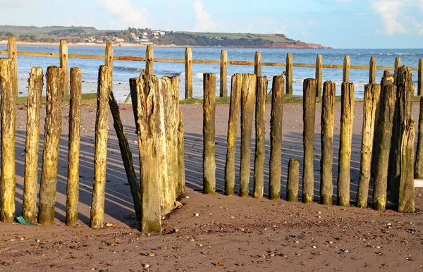 Stare Drewniane Kłody Używane Jako Groynes Dawlish Warren Spływają Morza — Zdjęcie stockowe