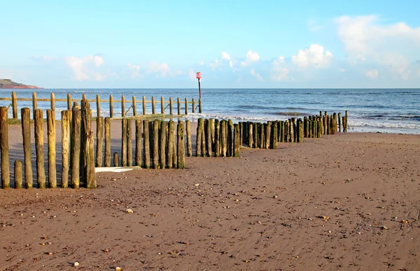 Stare Drewniane Kłody Używane Jako Groynes Dawlish Warren Spływają Morza — Zdjęcie stockowe