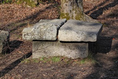 Beton bloklar birikmiş. Exeter yakınlarındaki bir doğa koruma alanında piknik masası yapmaya yarıyor.