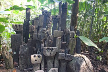 İngiltere, Cornwall 'daki Eden Projesi' nde tropikal biyolojide yerel bir sanat sergisi.