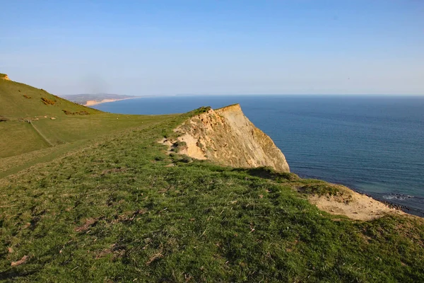 Falaises Près Seatown Dans Dorset Situé Sur Sentier Côtier Sur — Photo