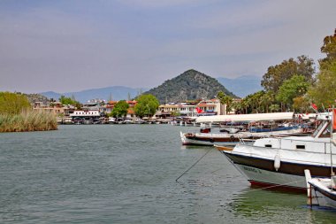 Dalyan gemisinin gemileri Dalyan Nehri 'nin kıyısına demirlemiş.