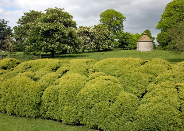 在英格兰 修剪得不均匀的树篱可以俯瞰有圆形石头建筑的草地 — 图库照片