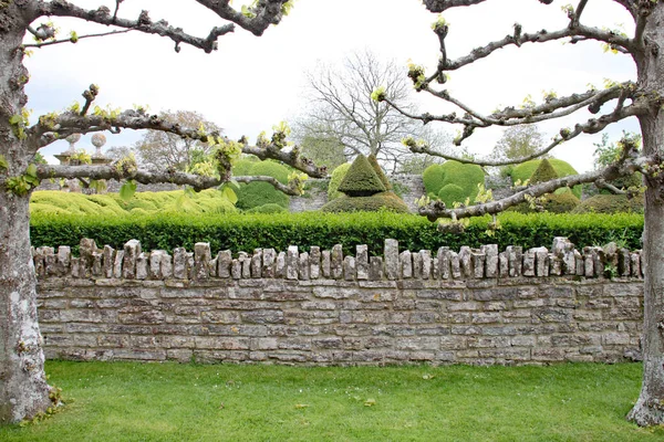 在英国 一堵长着苔藓的石墙矗立在修剪过的树篱前 — 图库照片