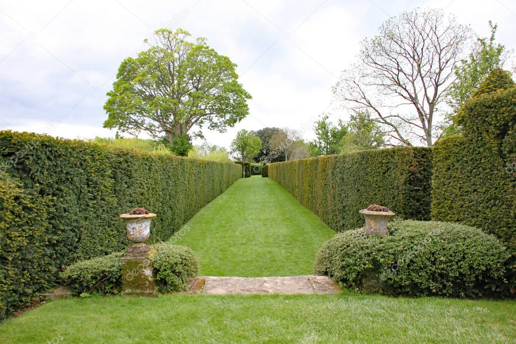 A lawn pathway between two hedges in an English country garden