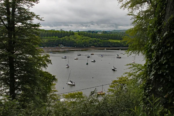 Devon 'daki Dart Nehri' ne demirlemiş yatlar ağaçlardaki bir boşluktan görülüyor.