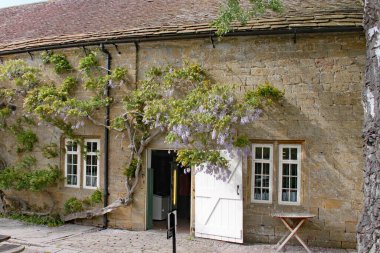 Cotswold taş ambarına giden yolda bir kapı açık duruyor. Wisteria kapının üzerinde büyüyor.