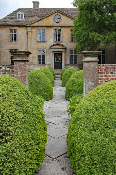 Een Patroon Beton Bloc Looppad Tussen Afgeronde Topiary Struiken Een — Stockfoto