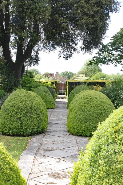 Kuviollinen Betoni Lohko Kävelytie Pyöristetty Topiary Pensaat Englanti Maa Puutarha — kuvapankkivalokuva