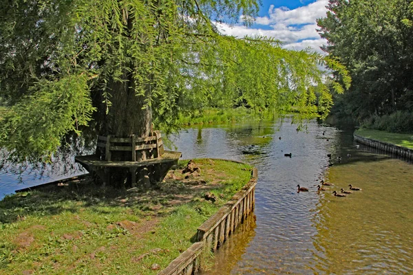 Piękna Scena Nad Rzeką Słoneczny Dzień Anglii — Zdjęcie stockowe
