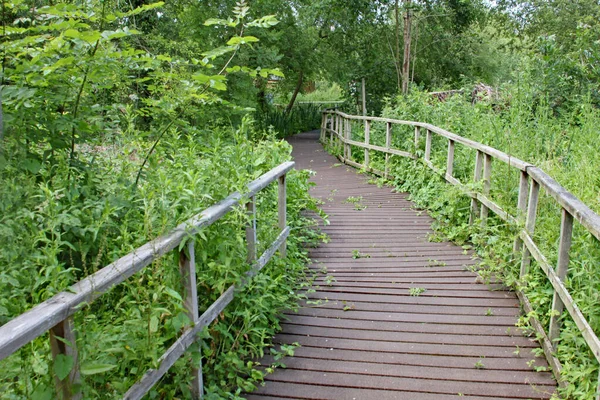 Promenada Drewnianymi Meandrami Ogrodzenia Zarośla — Zdjęcie stockowe